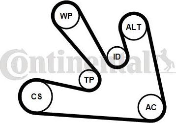 CONTINENTAL 7PK1687WP1 - Pompa apa + Set curea transmisie cu caneluri aaoparts.ro