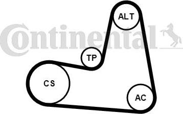 CONTITECH 7PK1125K1 - Set curea transmisie cu caneluri aaoparts.ro