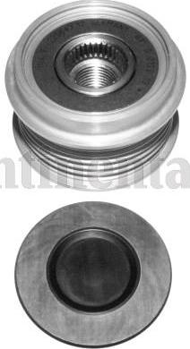 CONTINENTAL AP9060 - Fulie, alternator aaoparts.ro