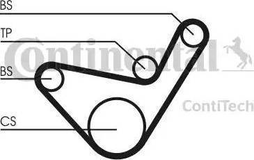 CONTINENTAL CT1107 - Curea de distributie aaoparts.ro