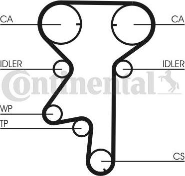 CONTITECH CT975WP1 - Set pompa apa + curea dintata aaoparts.ro