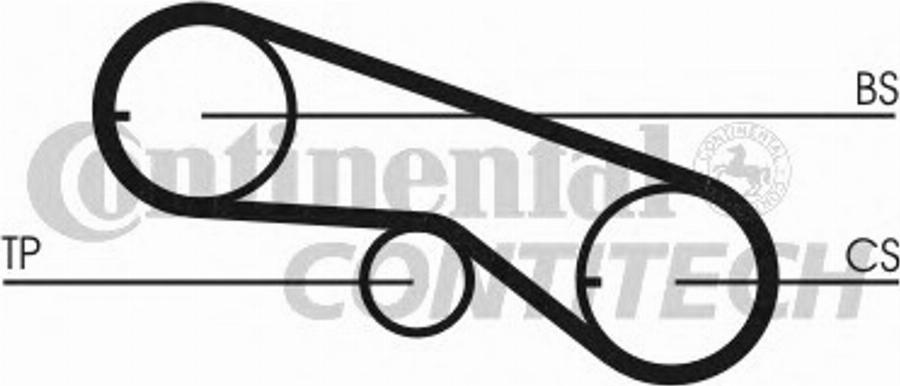 CONTINENTAL CT664 - Curea de distributie aaoparts.ro