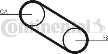 CONTINENTAL CT667 - Curea de distributie aaoparts.ro