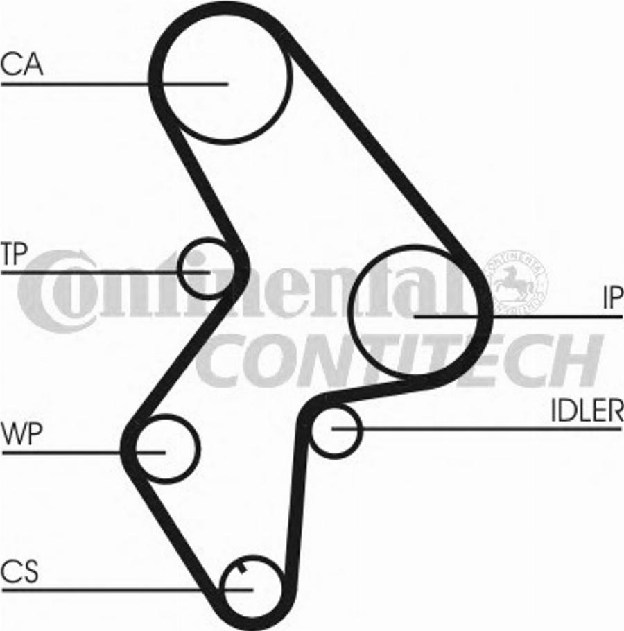 CONTITECH CT1031 - Curea de distributie aaoparts.ro