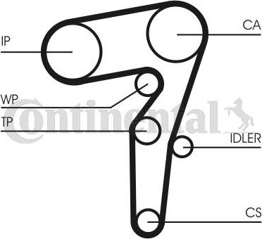 CONTITECH CT 1155 WP1 - Set pompa apa + curea dintata aaoparts.ro