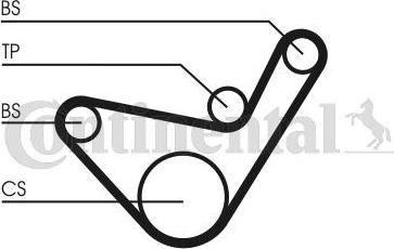 CONTITECH CT 1107 - Curea de distributie aaoparts.ro