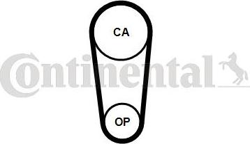 CONTITECH CT1246 - Curea de distributie aaoparts.ro