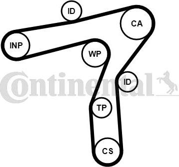 CONTITECH CT1241WP1 - Set pompa apa + curea dintata aaoparts.ro