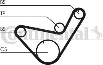 CONTITECH CT714K1 - Set curea de distributie aaoparts.ro