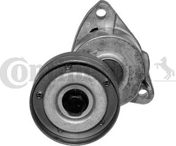 CONTINENTAL V85544 - Rola ghidare / conducere, curea transmisie aaoparts.ro