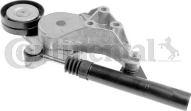 CONTINENTAL V85545 - Rola ghidare / conducere, curea transmisie aaoparts.ro