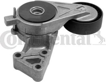 CONTINENTAL V85542 - Rola ghidare / conducere, curea transmisie aaoparts.ro