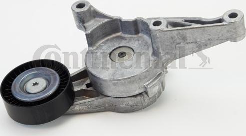 CONTINENTAL V85578 - Rola ghidare / conducere, curea transmisie aaoparts.ro