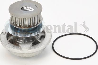CONTINENTAL WP6052 - Pompa apa aaoparts.ro