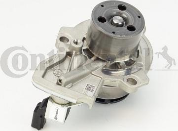 CONTINENTAL WP6124 - Pompa apa aaoparts.ro