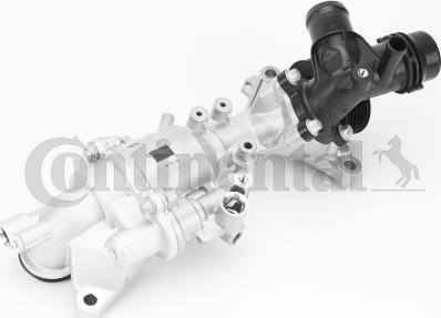 CONTINENTAL WPS3190 - Pompa apa aaoparts.ro