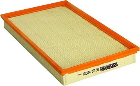 CoopersFiaam PA7192 - Filtru aer aaoparts.ro