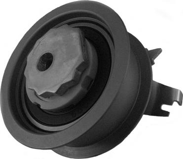 CORAM CT1052 - Rola intinzator,curea distributie aaoparts.ro