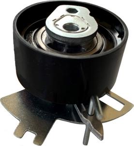 CORAM CT1079 - Rola intinzator,curea distributie aaoparts.ro