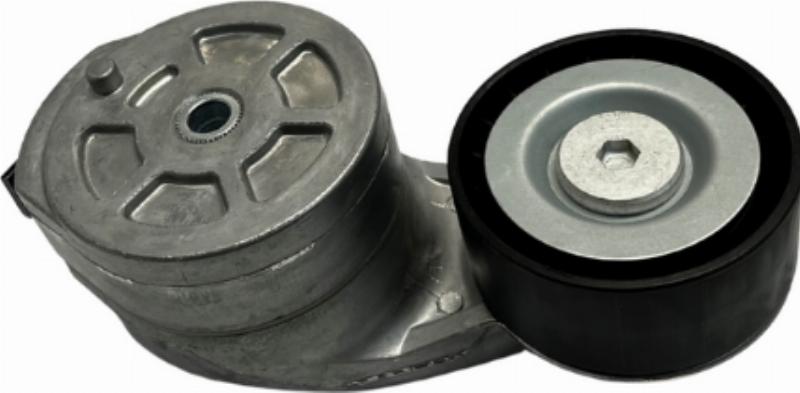 CORAM TPT4008 - Intinzator curea, curea distributie aaoparts.ro