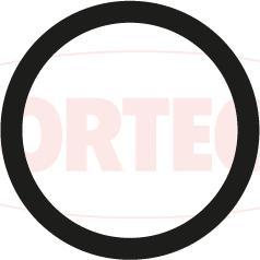 Corteco 49121549 - Garnitura termostat aaoparts.ro