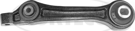 Corteco 49395352 - Brat, suspensie roata aaoparts.ro