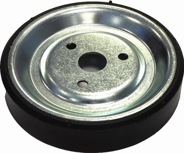 Corteco 49202501 - Fulie, pompa apa aaoparts.ro