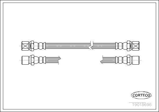 Corteco 19018696 - Furtun frana aaoparts.ro