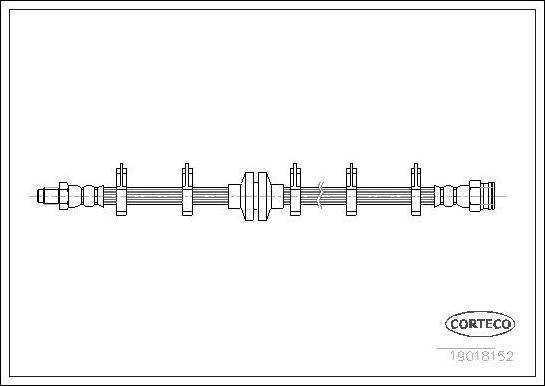 Corteco 19018152 - Furtun frana aaoparts.ro