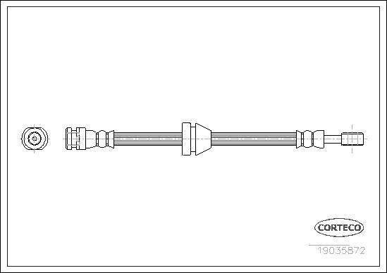 Corteco 19035872 - Furtun frana aaoparts.ro