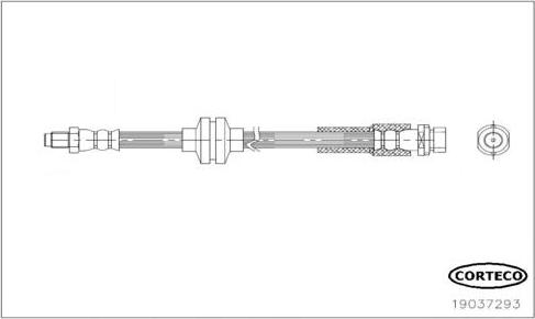 Corteco 19037293 - Furtun frana aaoparts.ro