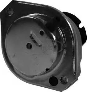 Corteco 80004416 - Suport motor aaoparts.ro