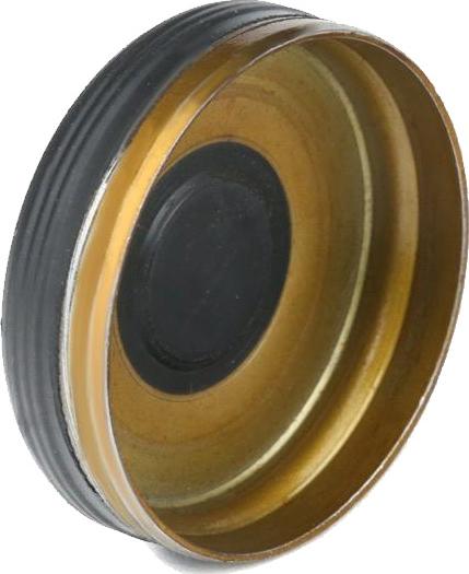 Corteco 82331298 - Dop, gaura de montaj ax culbutori aaoparts.ro