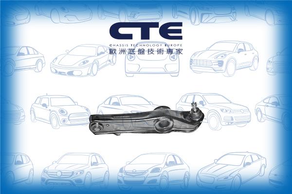 CTE CS-105 - Brat, suspensie roata aaoparts.ro