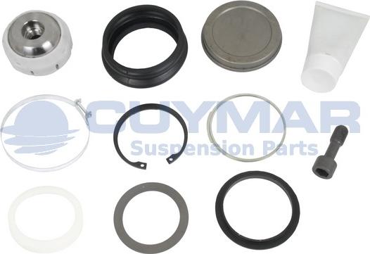 Cuymar 4905958 - Chit reparatie, brat aaoparts.ro