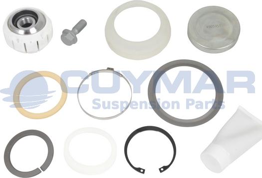Cuymar 4905957 - Chit reparatie, brat aaoparts.ro