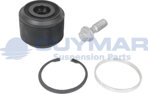 Cuymar 4908905 - Chit reparatie, brat aaoparts.ro