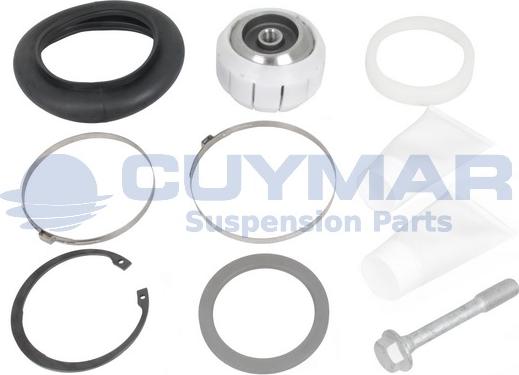 Cuymar 4912006 - Chit reparatie, brat aaoparts.ro