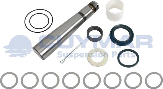 Cuymar 5912003 - Set reparatie, pivot aaoparts.ro