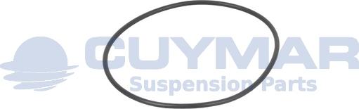 Cuymar 3403108 - Inel etansare, articulatie ax aaoparts.ro