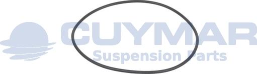 Cuymar 34106508 - Inel de etansare,butuc roata aaoparts.ro