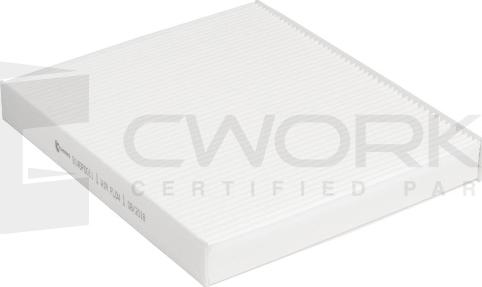 Cworks B140P0011 - Filtru, aer habitaclu aaoparts.ro