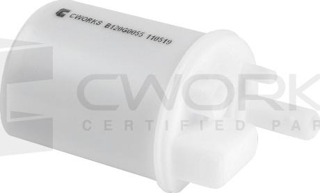 Cworks B120G0055 - Filtru combustibil aaoparts.ro
