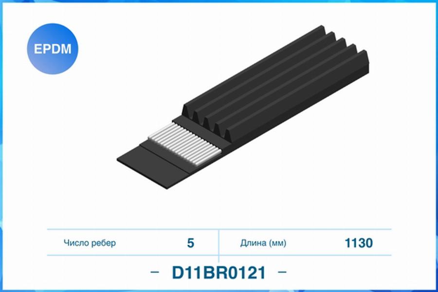 Cworks D11BR0121 - Curea transmisie cu caneluri aaoparts.ro