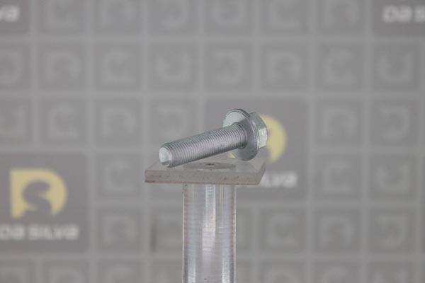 DA SILVA PLK034 - Set surub, disc curea-arbore cotit aaoparts.ro