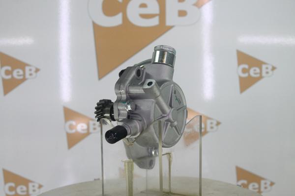 DA SILVA PV4066 - Pompa vacuum,sistem de franare aaoparts.ro