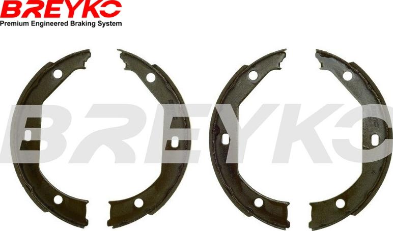 DAVID VASCO W8656 - Set saboti frana aaoparts.ro