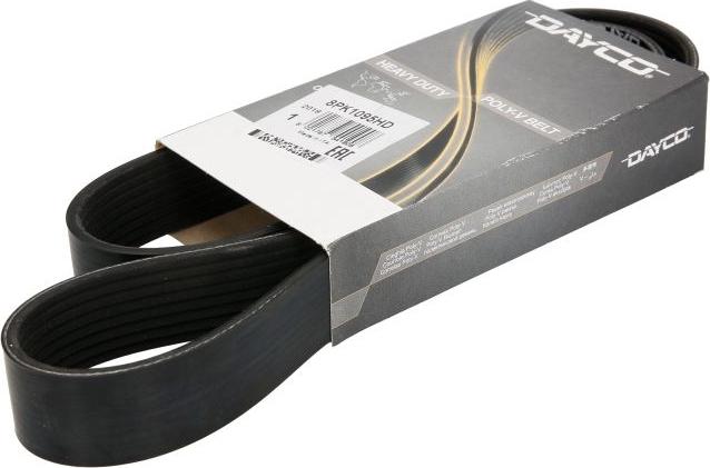 Dayco 8PK1095HD - Curea transmisie cu caneluri aaoparts.ro