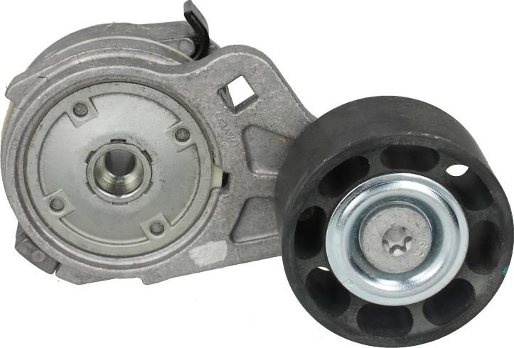 Dayco APV1105 - Intinzator curea, curea distributie aaoparts.ro