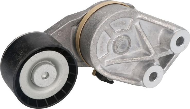 Dayco APV1117 - Intinzator curea, curea distributie aaoparts.ro